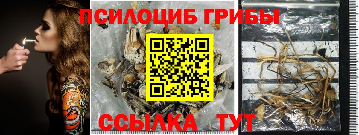 Галлюциногенные грибы Cubensis  Псилоцибиновые грибы Psilocybine cubensis  Вход с VPN  Приморско-Ахтарск 